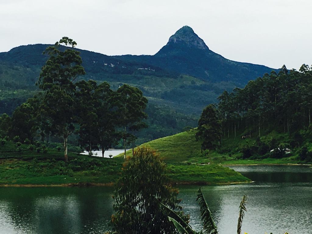 Butterfly Mountain Lake Side Maskeliya Exteriör bild