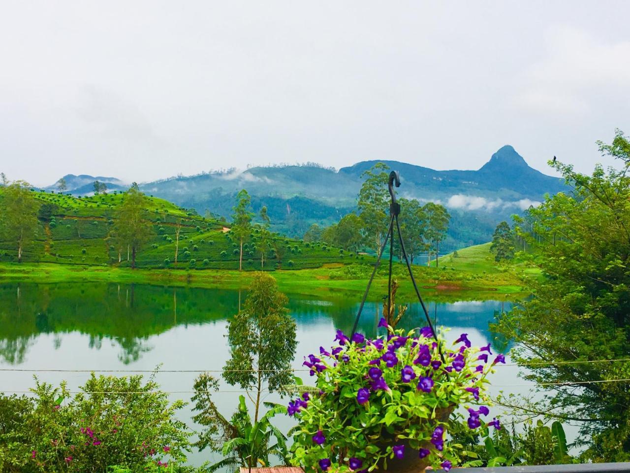 Butterfly Mountain Lake Side Maskeliya Exteriör bild