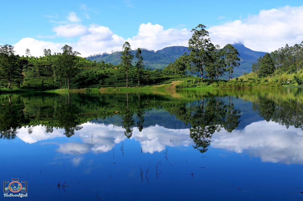 Butterfly Mountain Lake Side Maskeliya Exteriör bild