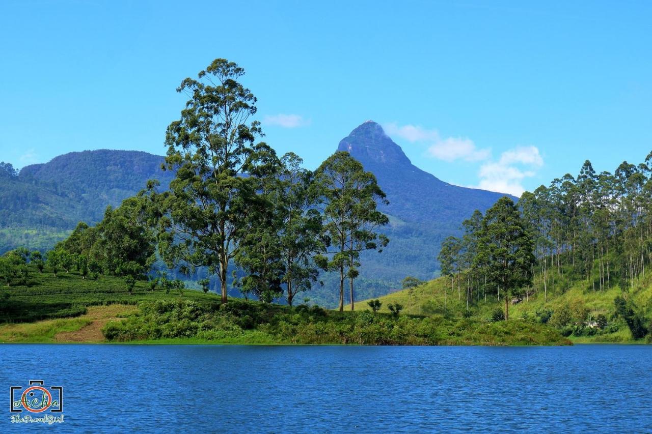 Butterfly Mountain Lake Side Maskeliya Exteriör bild